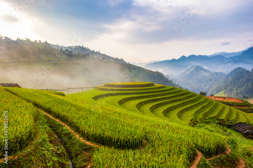 Terraced rice paddy field landscape of Mu Cang Chai, Yenbai, Northern Vietnam © Southtownboy Studio