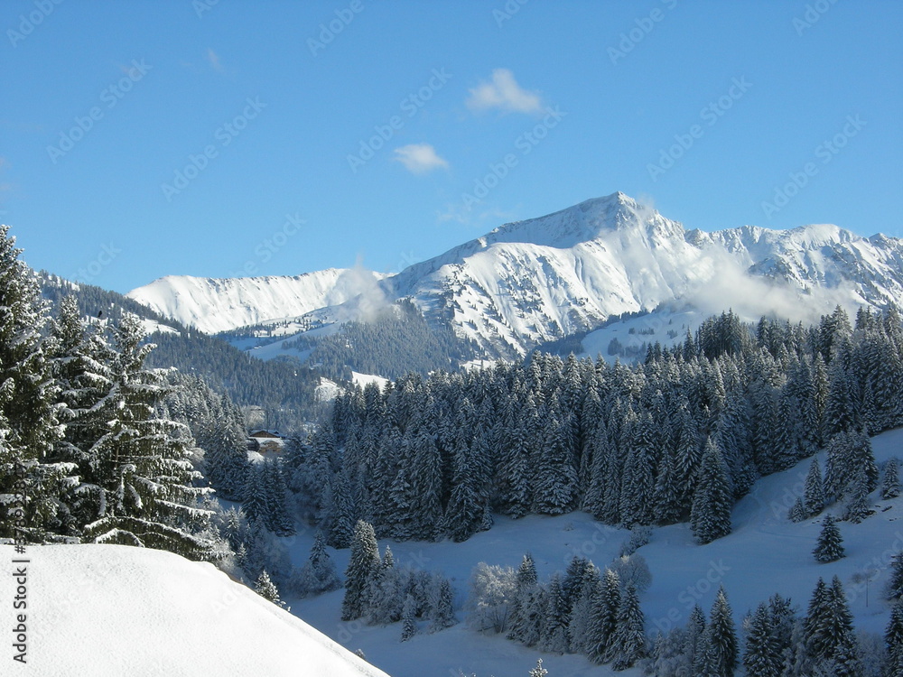 Snow covered trees in Rougemont, Switzerland