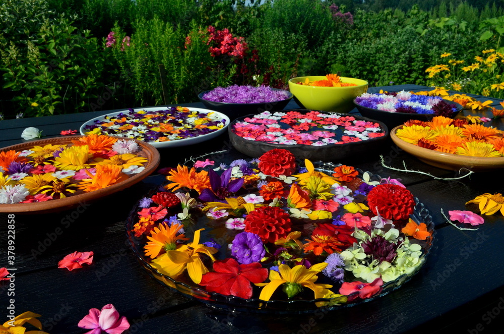 Multi colored garden flowers floating on the water surface in a round container. In the background a garden with flowers. flowers float in a container with water. Flower mandala