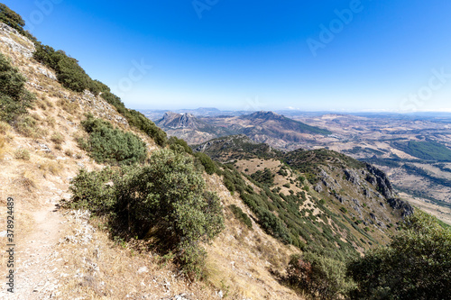 Mediterranean landscape at the Cerro Coros in the natural park Sierra de Grazalema, Andalusia, Spain.