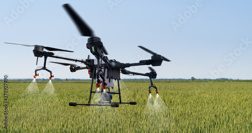 Drone sprayer flies over the wheat field. Smart farming and precision agriculture	