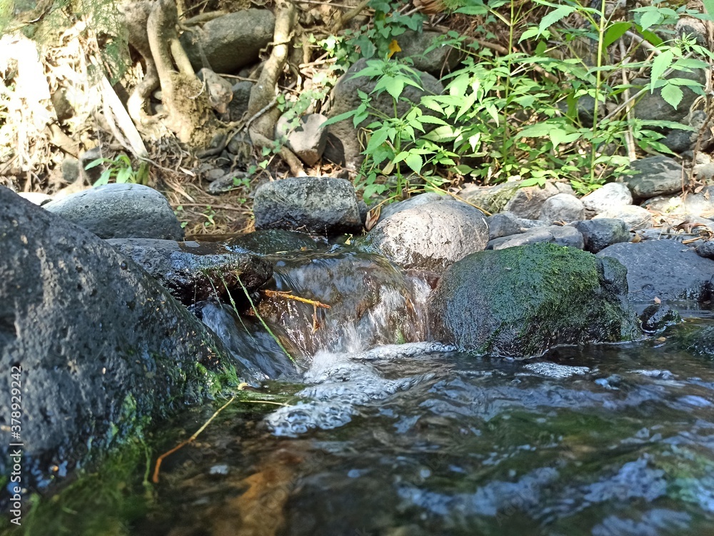 stream in a river stream in a river