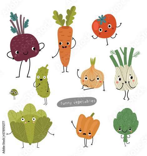 A variety of Vegetables. vector set. Illustration
