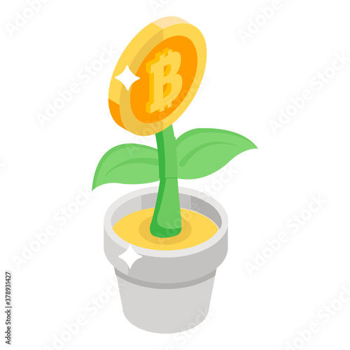 
Bitcoin on plant showing money growth icon
