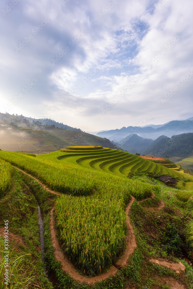 Terraced rice paddy field landscape of Mu Cang Chai, Yenbai, Northern Vietnam Terraced rice paddy field landscape of Mu Cang Chai, Yenbai, Northern Vietnam