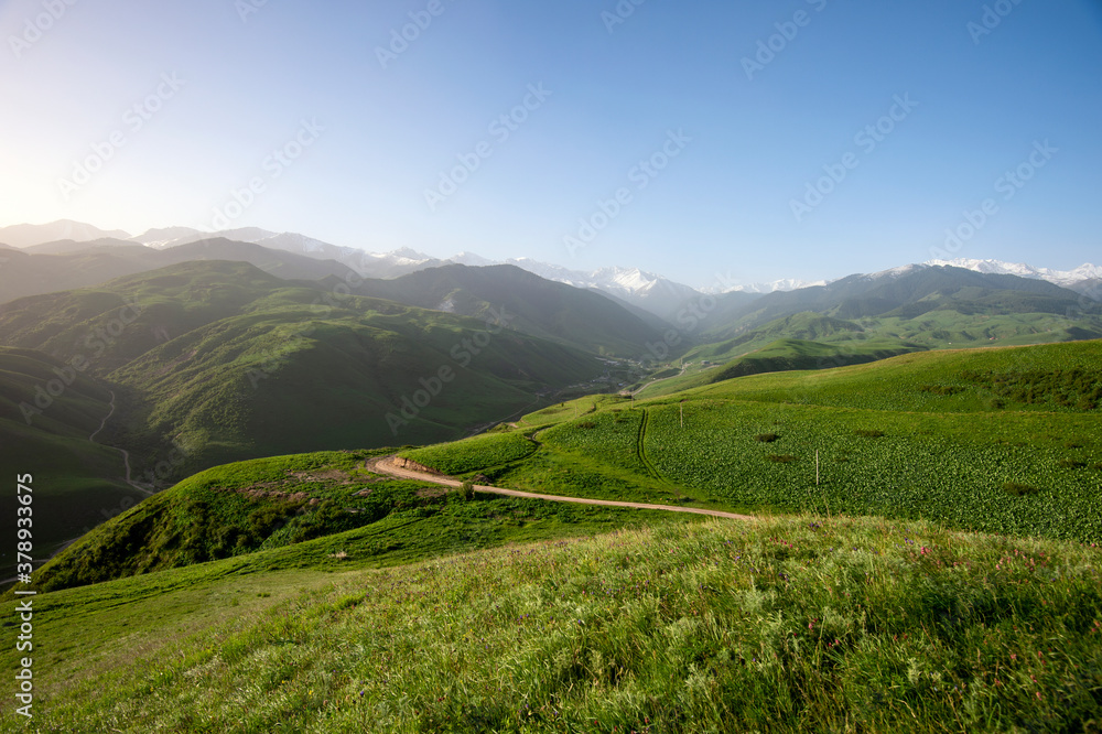 landscape with grass and sky landscape with grass and sky