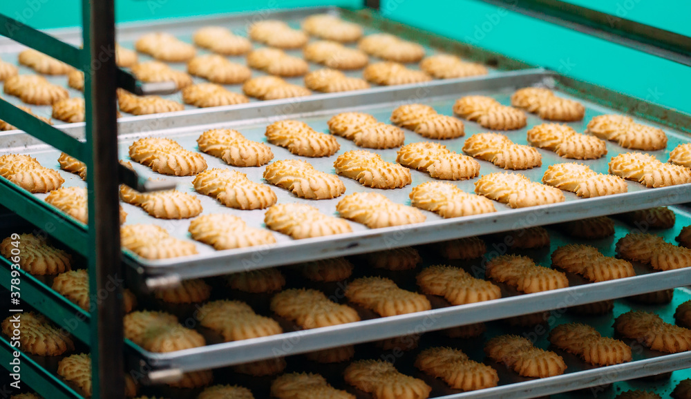 Shortbread.  Production of shortbread cookies at a confectionery factory.  Shortbread cookies on a metal rack after baking in the oven.