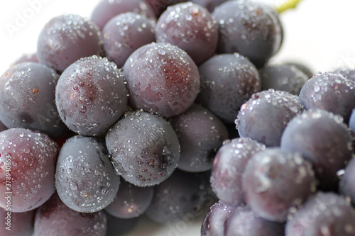 Wallpaper Mural 大粒ぶどう Torontodigital.ca