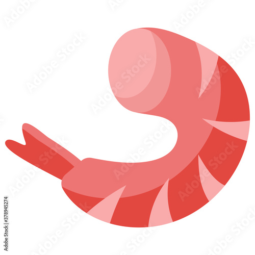 Shrimp 