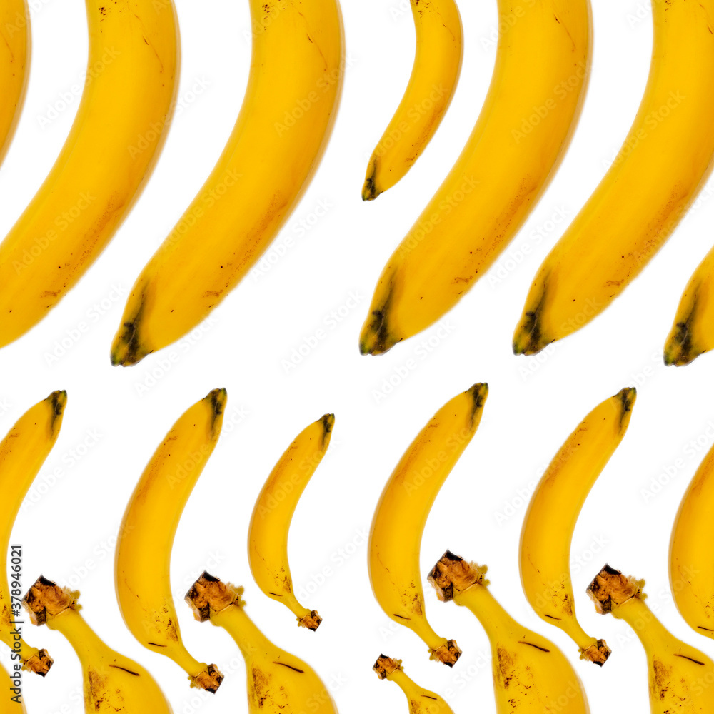 banana pattern on white background