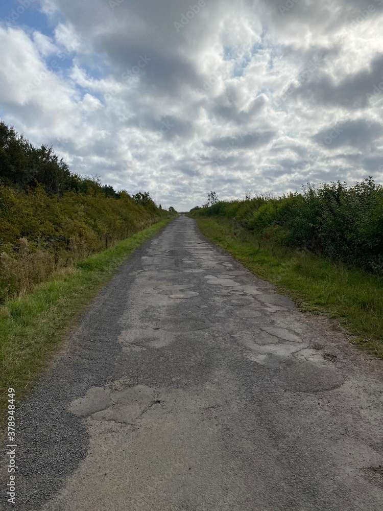 Obraz premium road in the countryside