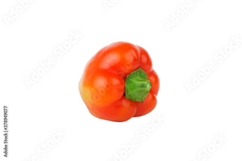 Colored raw bell pepper, white background