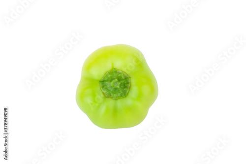 Colored raw bell pepper, white background