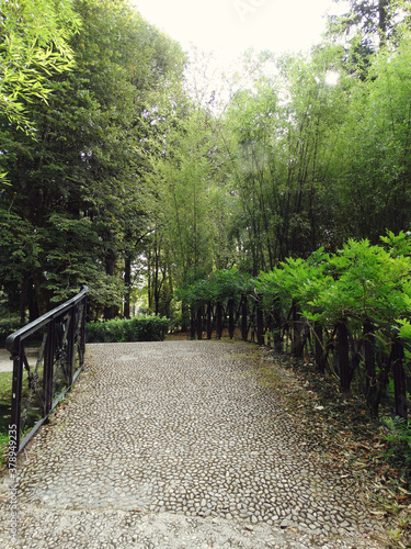 Views in the Nature Park of Bertiz in Navarre Spain      