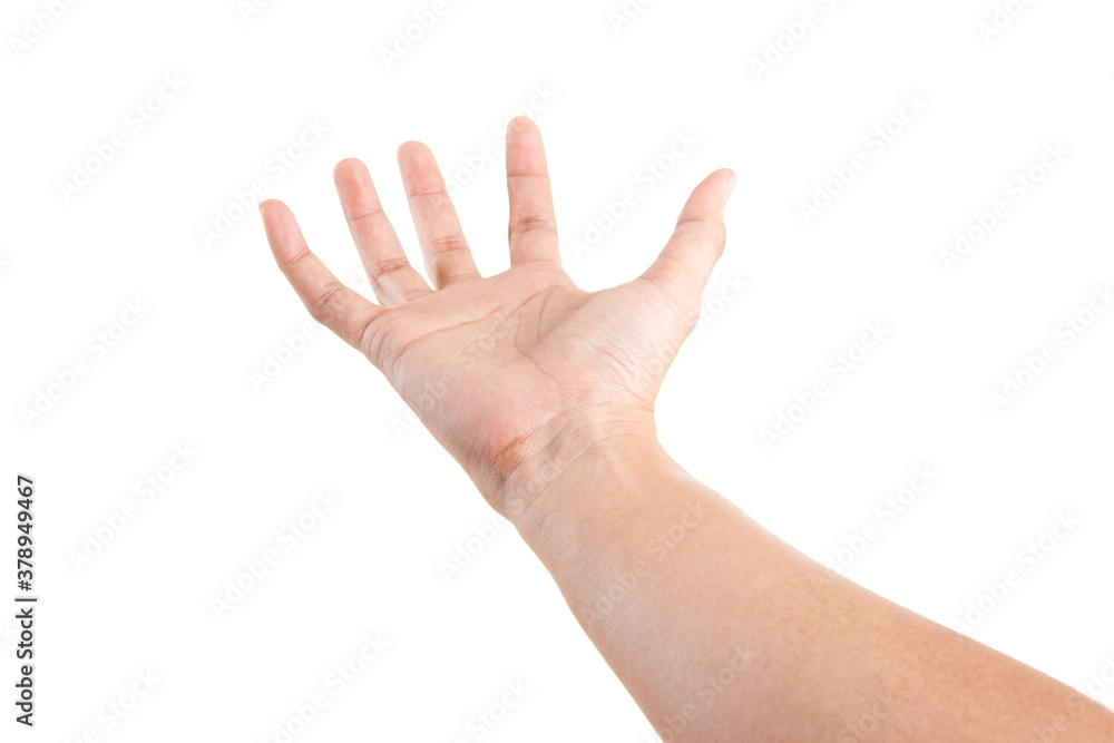 Male asian hand gestures isolated over the white background. BET POSE. Male asian hand gestures isolated over the white background. BET POSE.