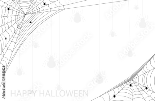 spider web with white background for halloween, Halloween concept