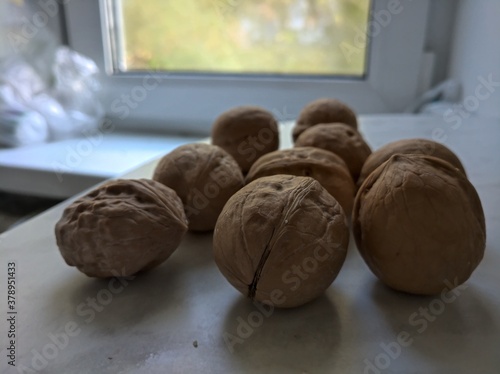 Walnut
