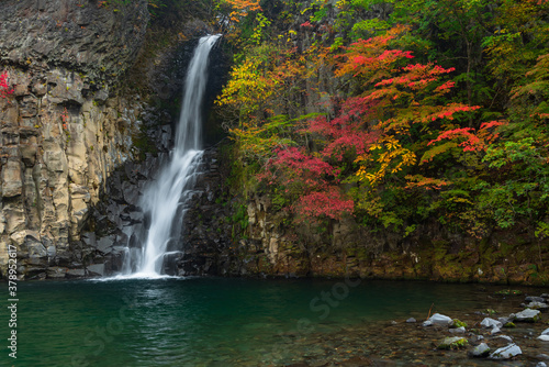 Fototapeta Naklejka Na Ścianę i Meble -  waterfall in the forest.Autumn