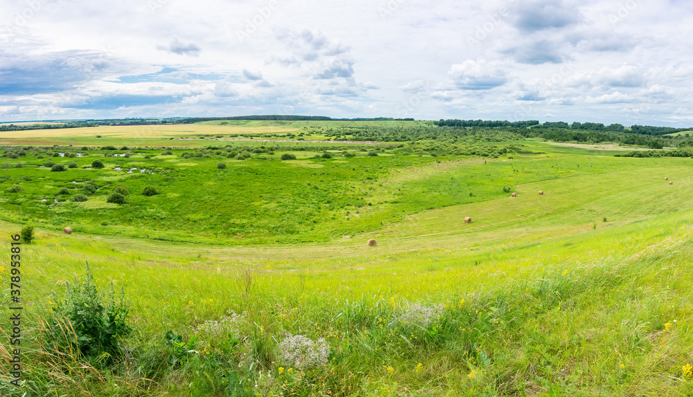 Veps meadows.  Tambov region. Russia