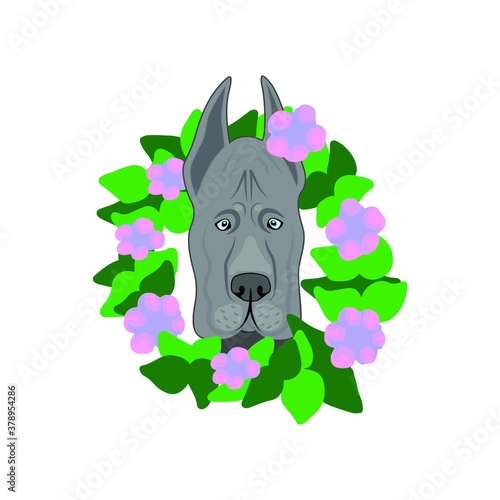Dog breed Great dane in a beautiful frame with flowers and leaves