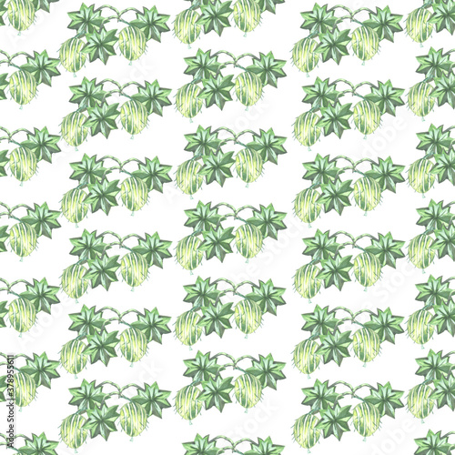 pattern seamless gooseberry plant watercolor