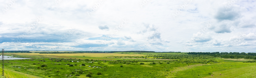 Veps meadows. Tambov region. Russia