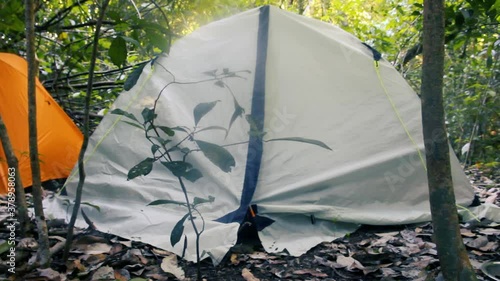 Tents hikers in the rain forest of Sri Lanka, exotical adventure. Voices of rainforest birds as a background sound
 photo