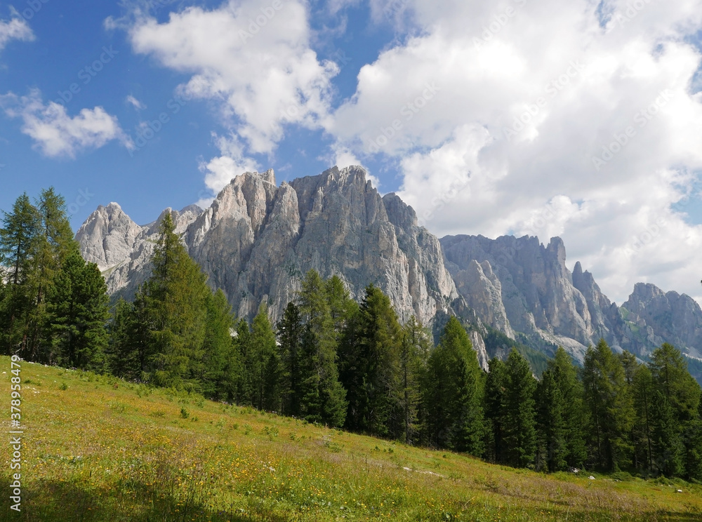meraviglioso panorama delle montagne dolomitiche in estate con verdi vallate e cime rocciose