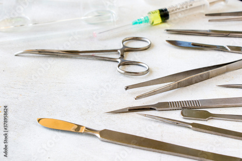 Wallpaper Mural Dissection Kit - Stainless Steel Tools for Medical Students of Anatomy Torontodigital.ca