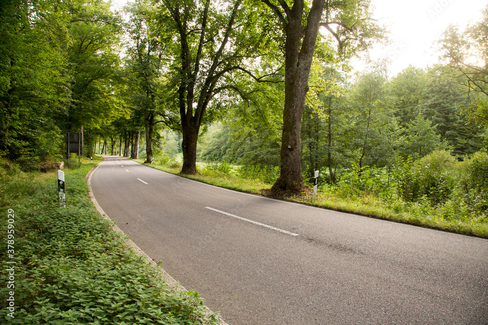 Forest Road Forest Road