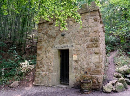 Fototapeta Naklejka Na Ścianę i Meble -  Die Prinzess Ilse Quelle bei Ilsenburg im Harz in Deutschland
