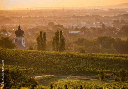 Photography sunrise over the city wineyards in south Vienna