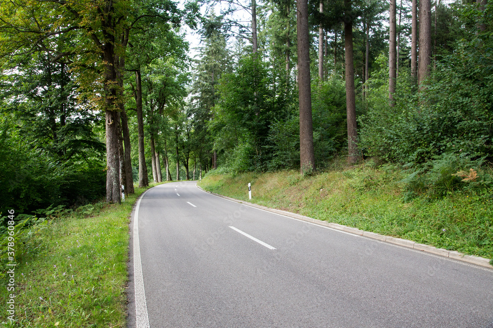 Forest Road Forest Road