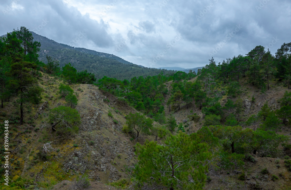 Forest-covered green hills on a bright Sunny summer day in the mountains of Central Cyprus.