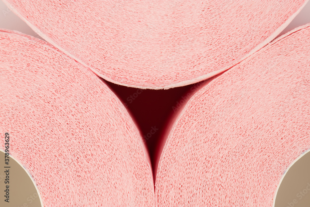 Fototapeta premium pink toilet paper in rolls with a sleeve, isolate on a white background, space for text