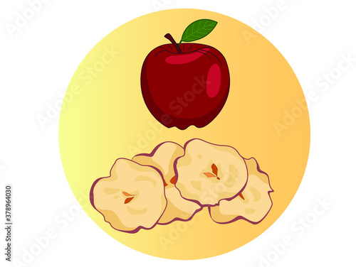 Dried slices apple chips vector drawing. Hand drawn dehydrated fruit ring and slices. Healthy vegan food snack. Baked delicious fruits. It can be used in the design of packaging cereals, breakfast cer