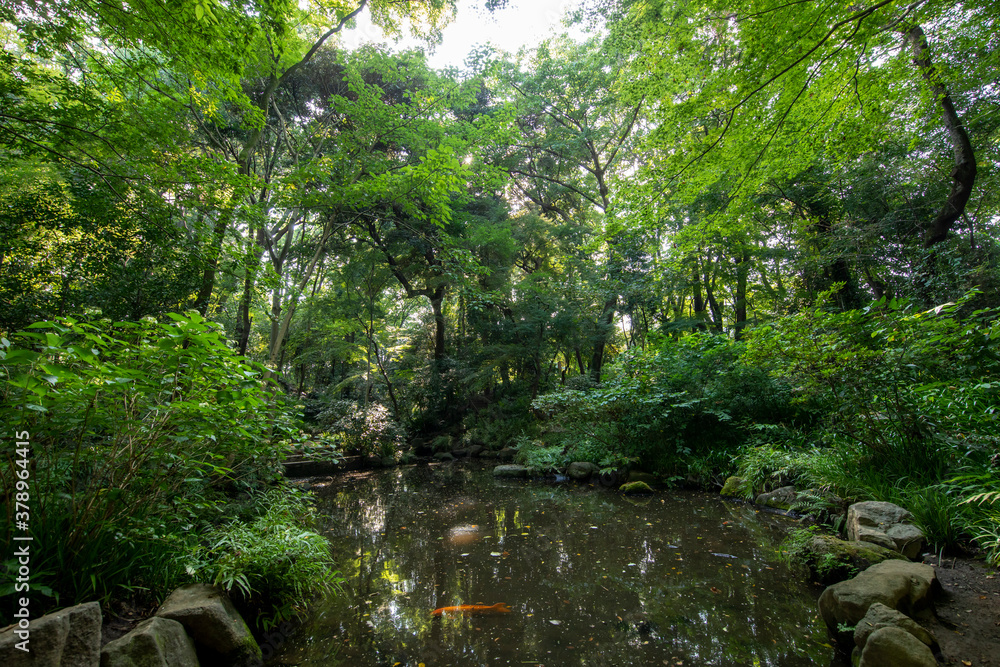 Obraz premium 新宿区立おとめ山公園