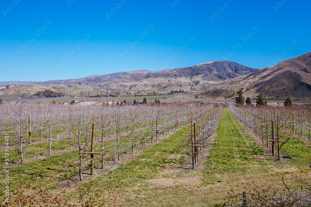 Cromwell Winery in New Zealand