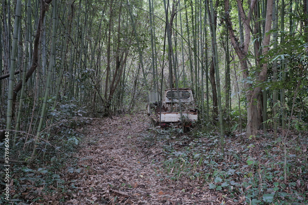 Abandoned car abandoned in the woods Abandoned car abandoned in the woods