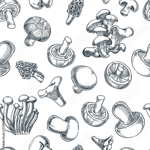 Mushrooms black white seamless pattern. Sketch vector illustration. Hand drawn autumn background