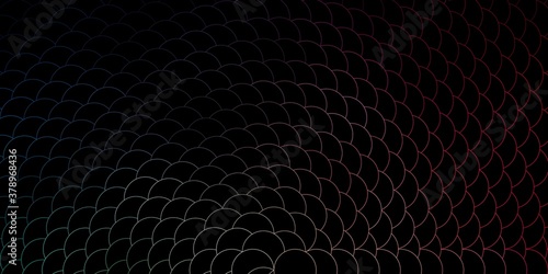 Dark Green, Red vector background with spots. Abstract colorful disks on simple gradient background. Design for your commercials.
