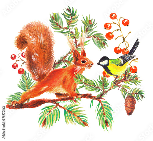 Watercolor colorful christmas composition with squirrel  forest birds  cones and  branches tree. White background.