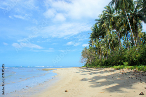 Beautiful wild tropical beach and sea views. Philippines. Palawan Island.