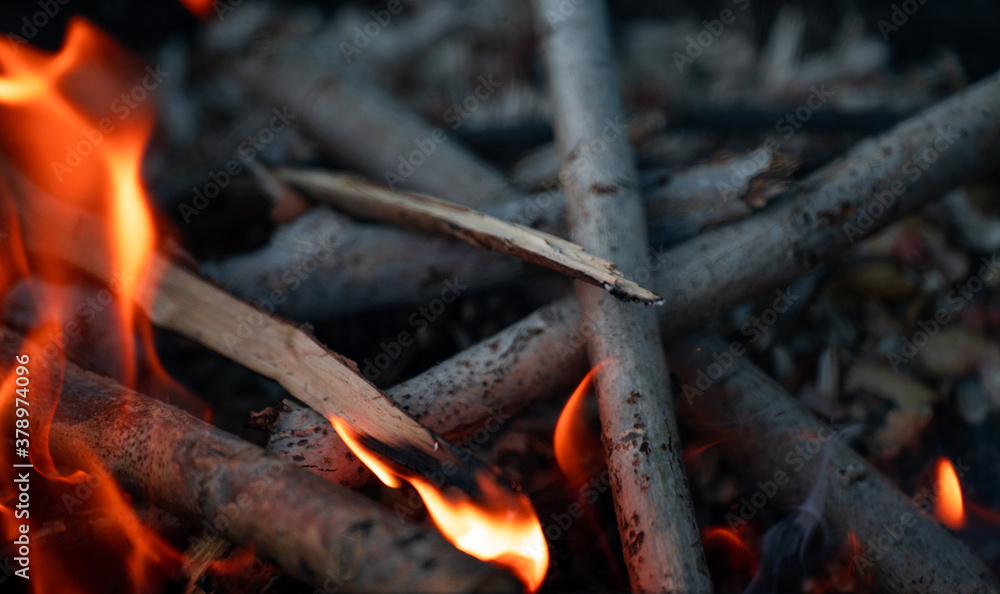 Close-up burning woods and flames Close-up burning woods and flames