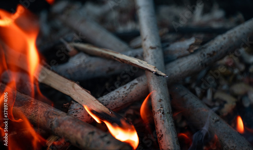 Close-up burning woods and flames