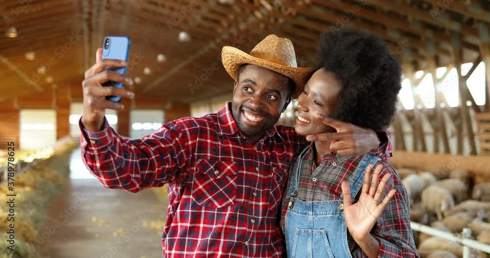 African American cheerful young couple taking selfie photos in stable with sheep on smartphone and smiling. Pretty happy woman and handsome man, farmers making pictures on mobile phone. Selfies photos African American cheerful young couple taking selfie photos in stable with sheep on smartphone and smiling. Pretty happy woman and handsome man, farmers making pictures on mobile phone. Selfies photos