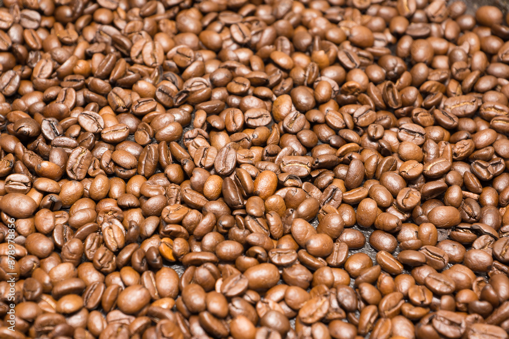 freshly roasted coffee beans freshly roasted coffee beans