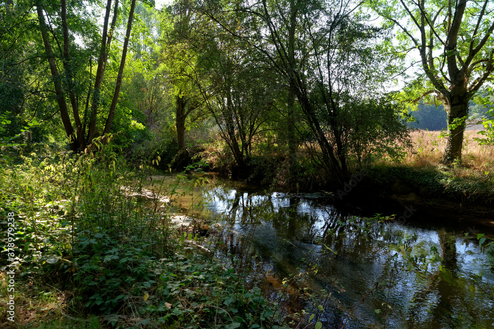 Obraz premium Sensitive natural space of the river in the French Gatinais regional nature park