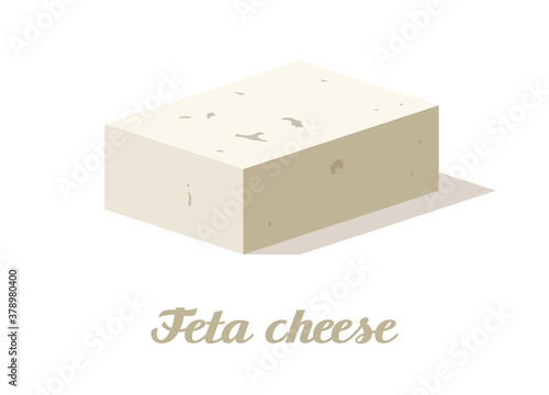 Feta cheese. Realistic cheese on white background. Vector illustration