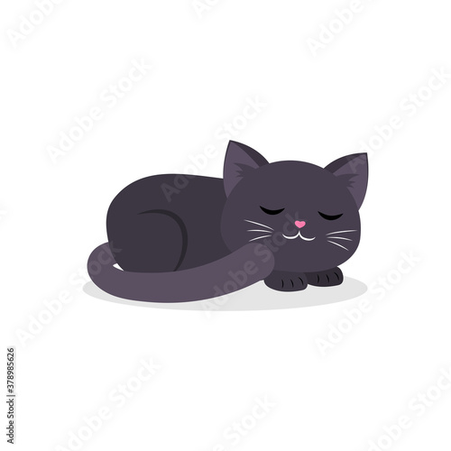 black cute cat sleeping curled up in a ball